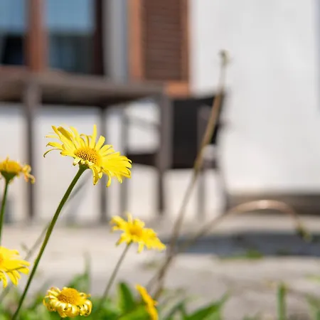 Traumhaftes Wohnen Beim Badesee Apartamento Erlangen